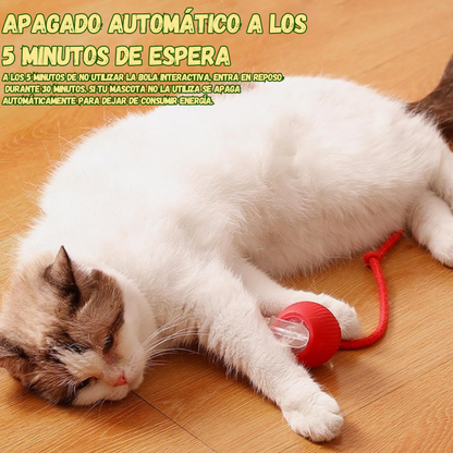 Juguete Interactivo Para Mascotas