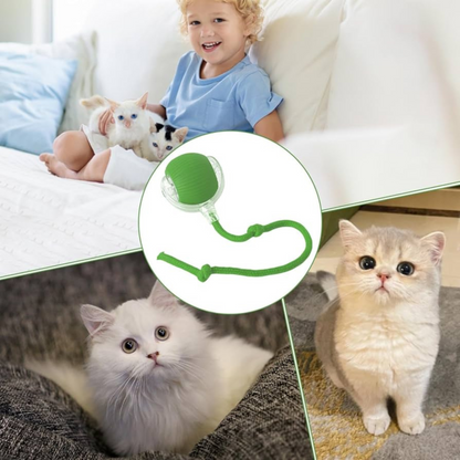 Juguete Interactivo Para Mascotas